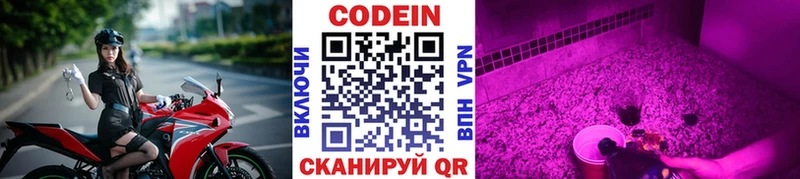 Кодеиновый сироп Lean Purple Drank  цена   Бородино 