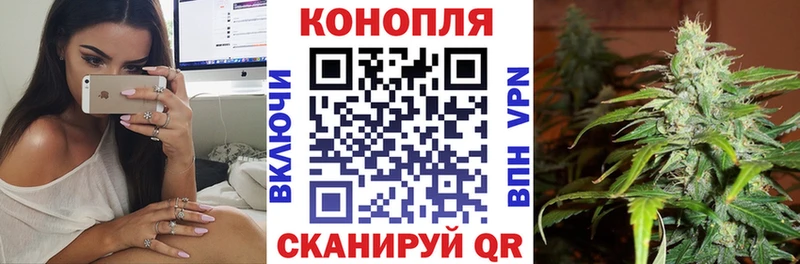 магазин  наркотиков  Бородино  Каннабис MAZAR 